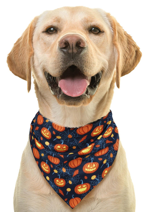 Pumpkin Pet Scarf